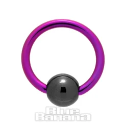 Blue Banana Coloured Titanium 1.2mm BCR (Purple/Black)