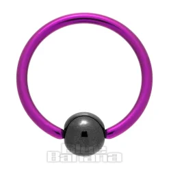 Blue Banana Coloured Titanium 1.6mm BCR (Purple/Black)
