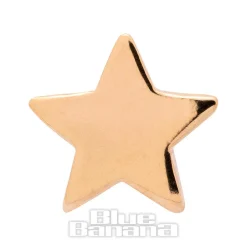 Blue Banana Cubic Zirconia Star 14k Gold Threadless Top (Gold)