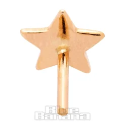 Blue Banana Cubic Zirconia Star 14k Gold Threadless Top (Gold)
