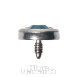 Blue Banana 5mm Dermal Top (Aqua)