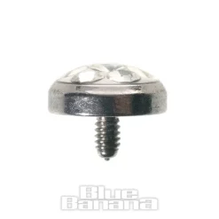 Blue Banana 5mm Glitter Dermal Top (Crystal Clear)