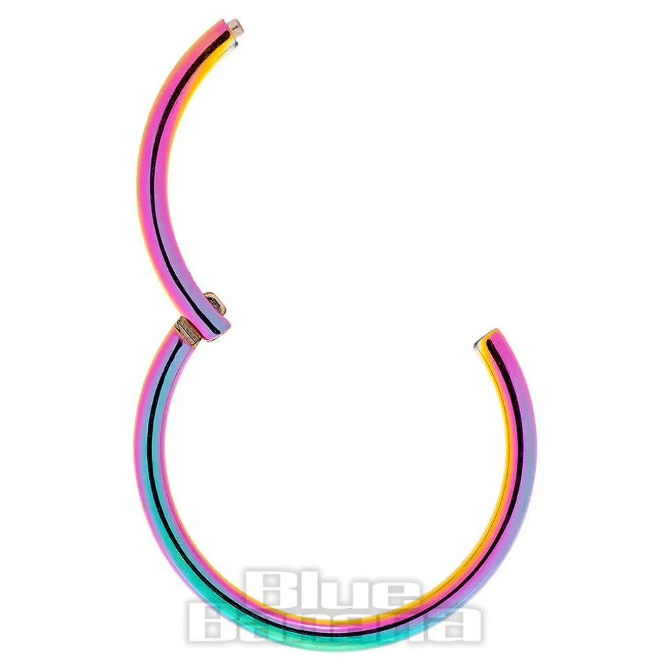 Blue Banana 1.0mm Hinged Segment Ring (Rainbow)