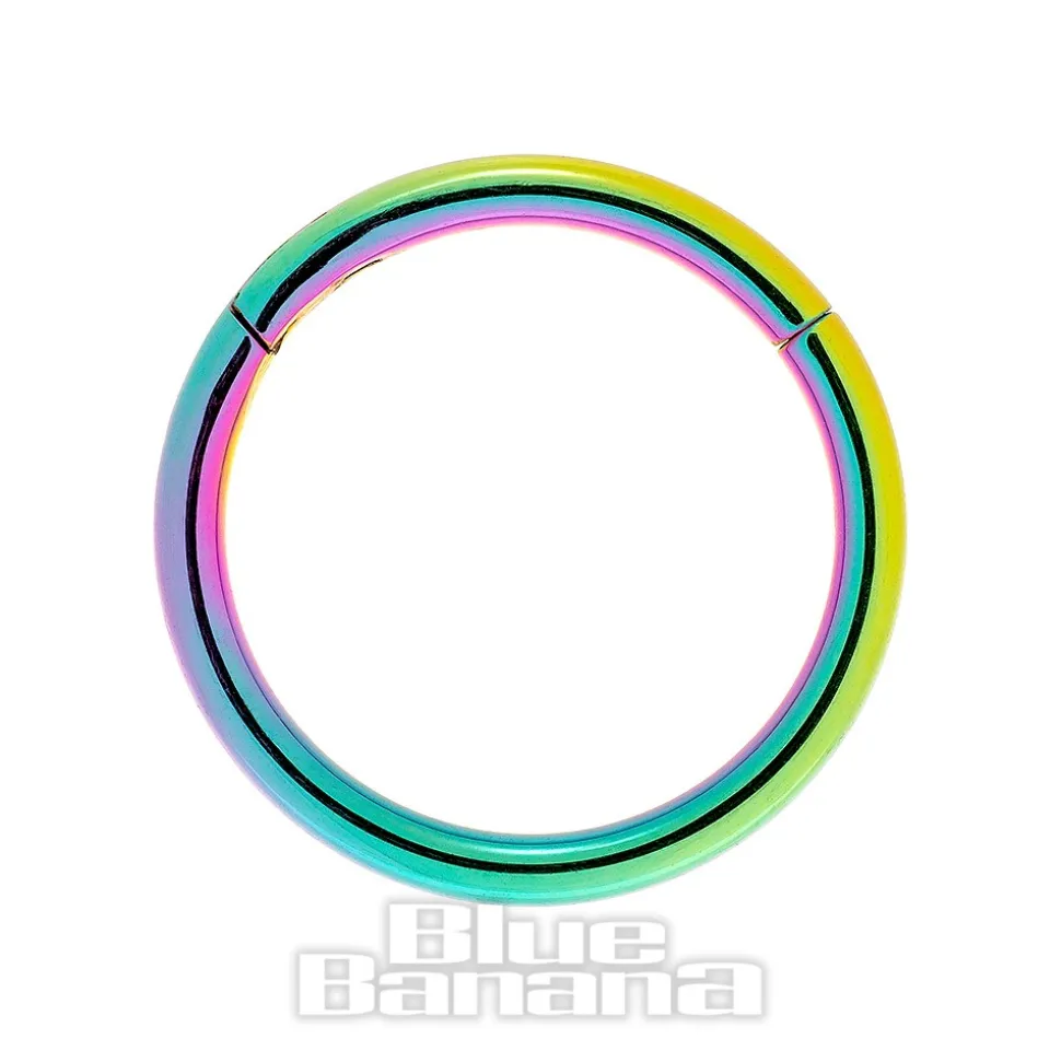 Blue Banana 1.0mm Hinged Segment Ring (Rainbow)