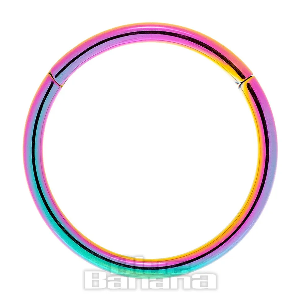 Blue Banana 1.0mm Hinged Segment Ring (Rainbow)