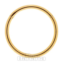 Blue Banana 1.0mm Hinged Segment Ring (Gold)