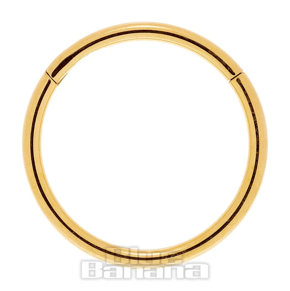 Blue Banana 1.0mm Hinged Segment Ring (Gold)