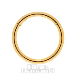 Blue Banana 1.0mm Hinged Segment Ring (Gold)