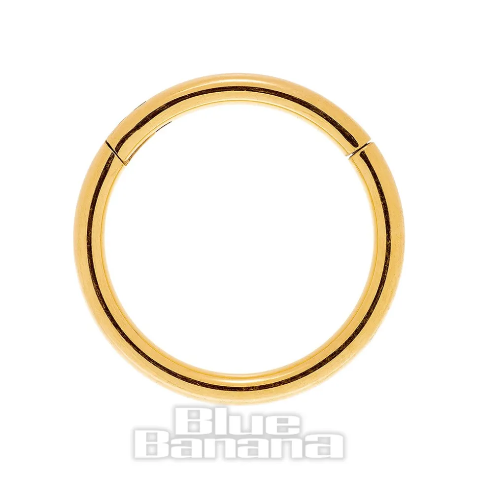 Blue Banana 1.0mm Hinged Segment Ring (Gold)