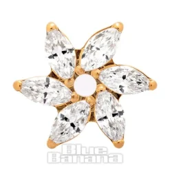 Blue Banana Plasma Gold Cubic Zirconia Flower Threadless Top (Gold)