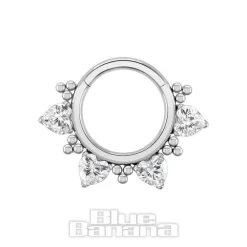 Blue Banana Polished Titanium 1.2 X 8mm Hinged Segment Ring Crystal Hearts (Silver)