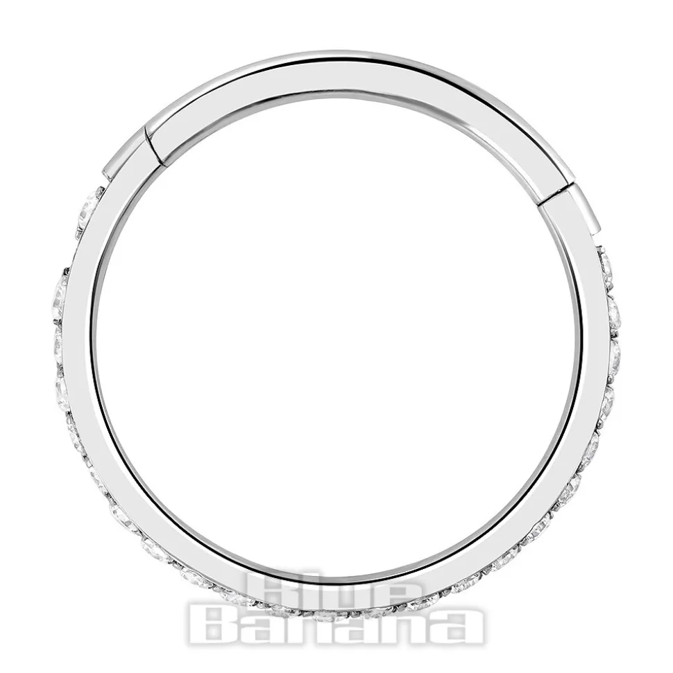 Blue Banana Polished Titanium Eternity Hinged Segment Ring (Silver)