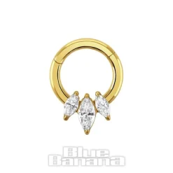 Blue Banana Polished Titanium 3 Stone Hinged Segment Ring (Gold)