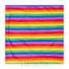 Blue Banana Rainbow Bandana (Multicoloured)