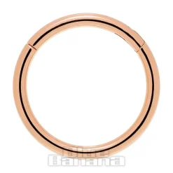 Blue Banana Rose Gold 1.2mm Hinged Segment Ring (Half Opal)