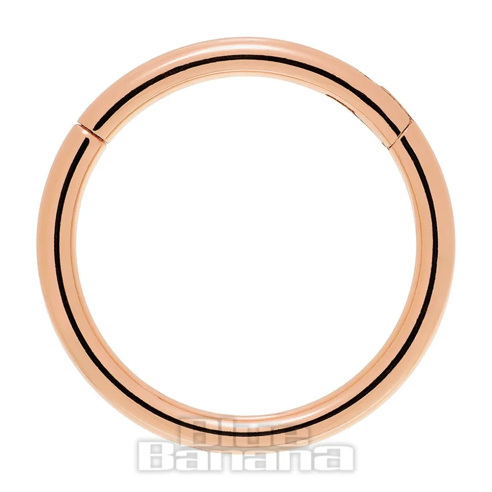Blue Banana Rose Gold 1.2mm Hinged Segment Ring (Half Opal)