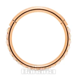 Blue Banana Rose Gold 1.2mm Hinged Segment Ring (Opal)