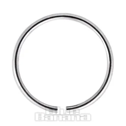 Blue Banana Silver 1.0g Seamless Nose Ring (Silver)