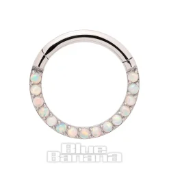 Blue Banana Steel 1.2mm Small Gem Hinged Segment Ring (Half Opal)