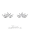 Blue Banana Surgical Steel Cubic Zirconia 5 Ear Studs (Silver)