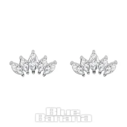 Blue Banana Surgical Steel Cubic Zirconia 5 Ear Studs (Silver)