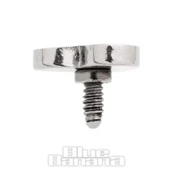 Blue Banana Surgical Steel Heart Top (Silver)
