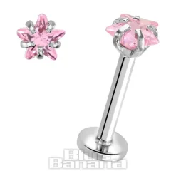 Blue Banana Surgical Steel 4mm Star 1.2mm Labret (Rose)