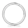 Blue Banana Surgical Steel Segment Ring (Silver)