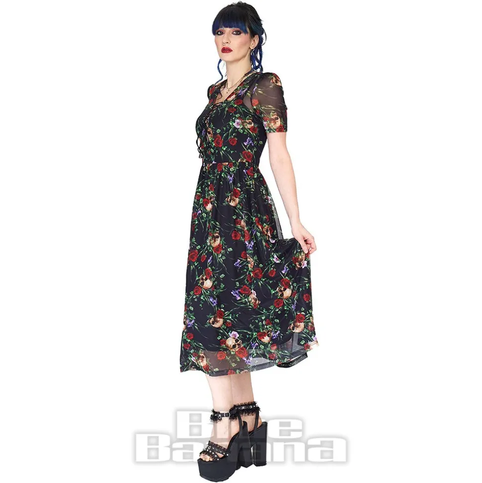 Jawbreaker Skull & Roses Mesh Midi Dress (Multicolour)