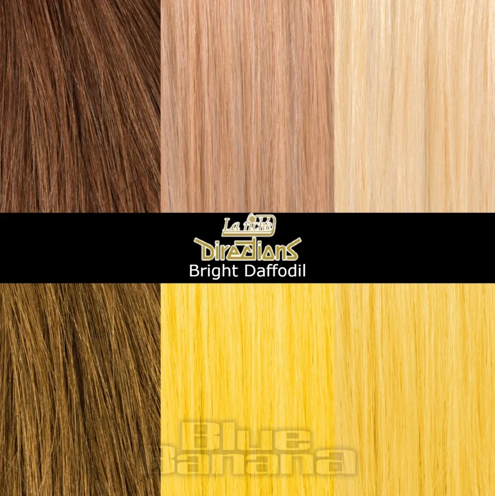 La Riche Directions Colour Hair Dye 100ml (Bright Daffodil)