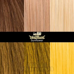 La Riche Directions Colour Hair Dye 88ml (Sunflower)