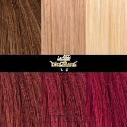 La Riche Directions Colour Hair Dye 4 Pack 88ml (Tulip)