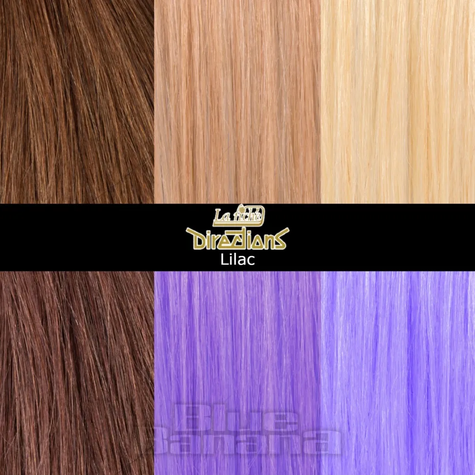 La Riche Directions Colour Hair Dye 4 Pack 100ml (Lilac)