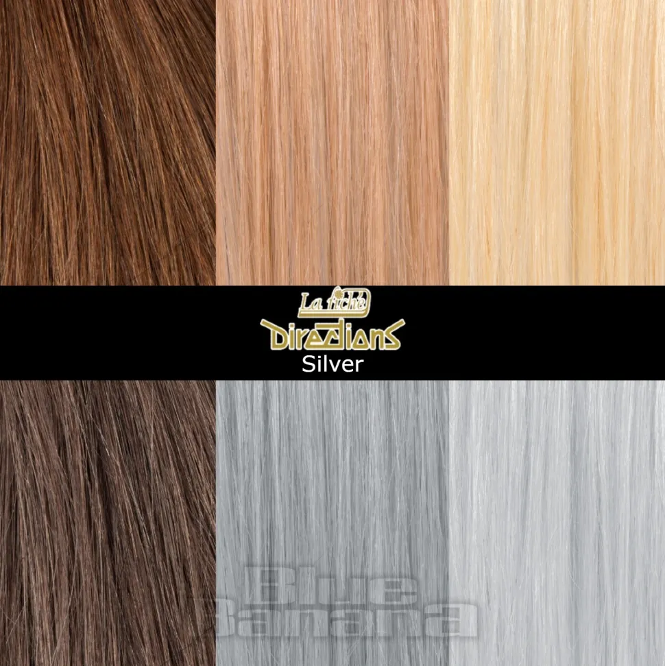 La Riche Directions Colour Hair Dye 4 Pack 100ml (Silver)