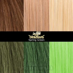La Riche Directions Colour Hair Dye 100ml (Spring Green)
