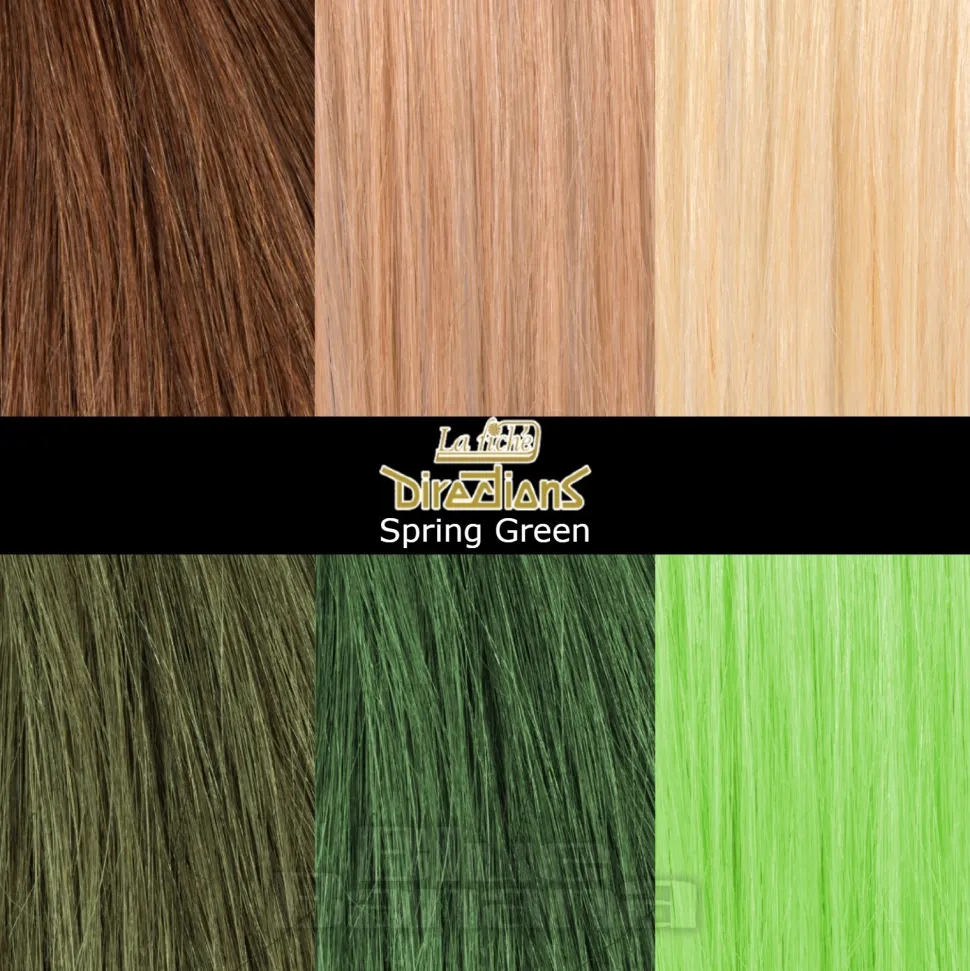 La Riche Directions Colour Hair Dye 100ml (Spring Green)