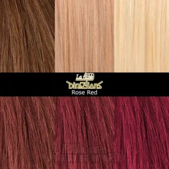 La Riche Directions Colour Hair Dye 100ml (Rose Red)