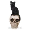 Nemesis Now Familiar Fate Cat & Skull Figurine (24.3CM)