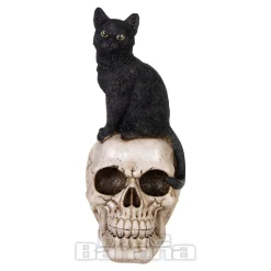 Nemesis Now Familiar Fate Cat & Skull Figurine (24.3CM)