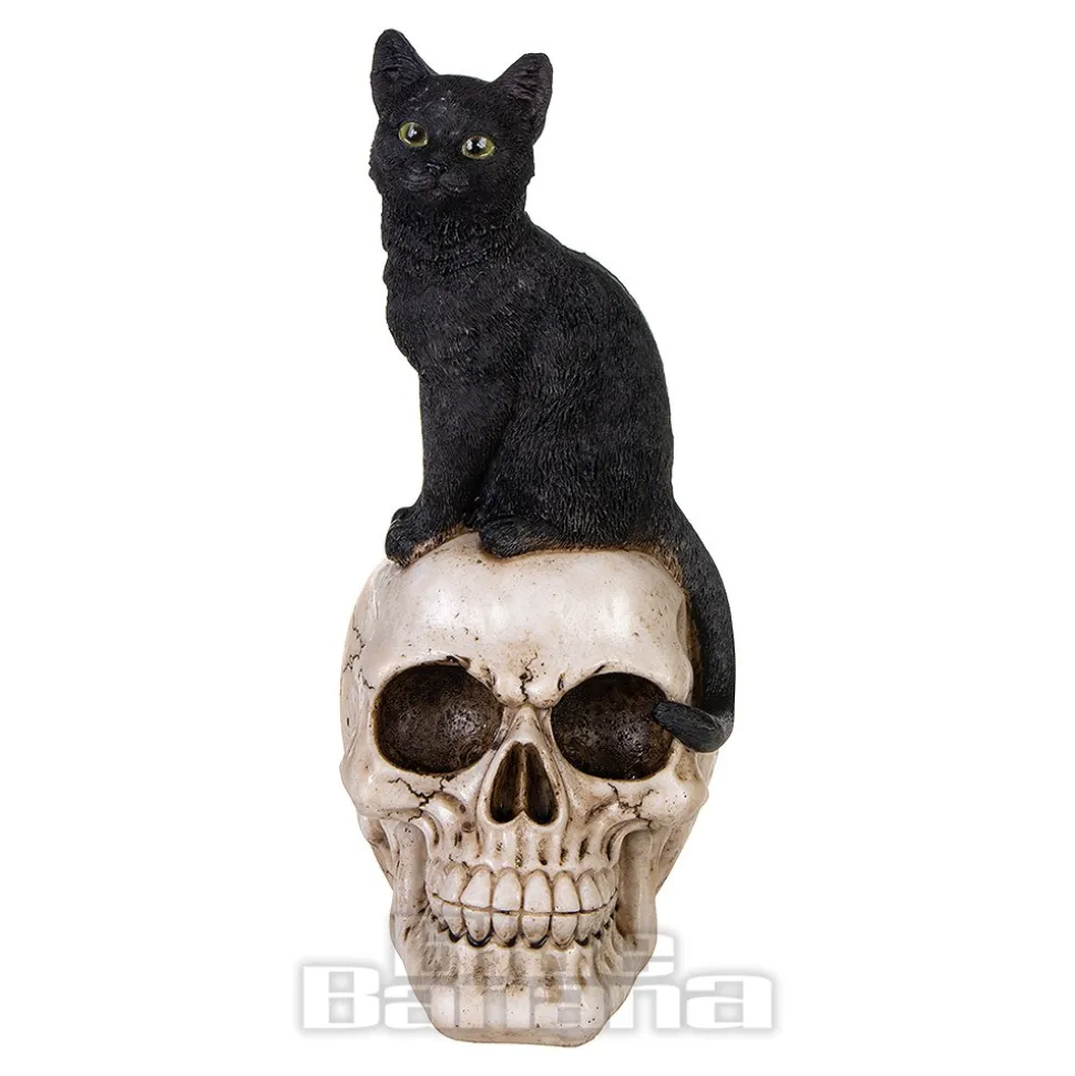 Nemesis Now Familiar Fate Cat & Skull Figurine (24.3CM)