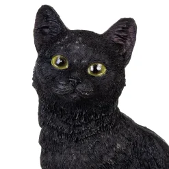 Nemesis Now Familiar Fate Cat & Skull Figurine (24.3CM)