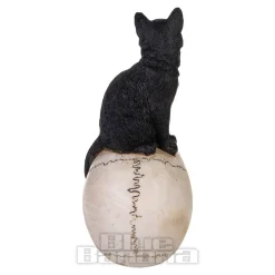 Nemesis Now Familiar Fate Cat & Skull Figurine (24.3CM)