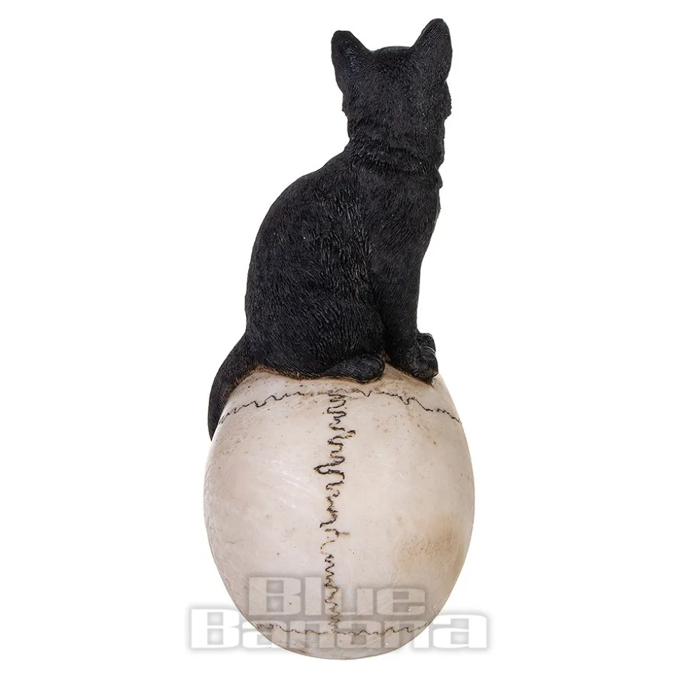 Nemesis Now Familiar Fate Cat & Skull Figurine (24.3CM)