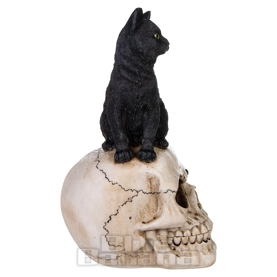 Nemesis Now Familiar Fate Cat & Skull Figurine (24.3CM)