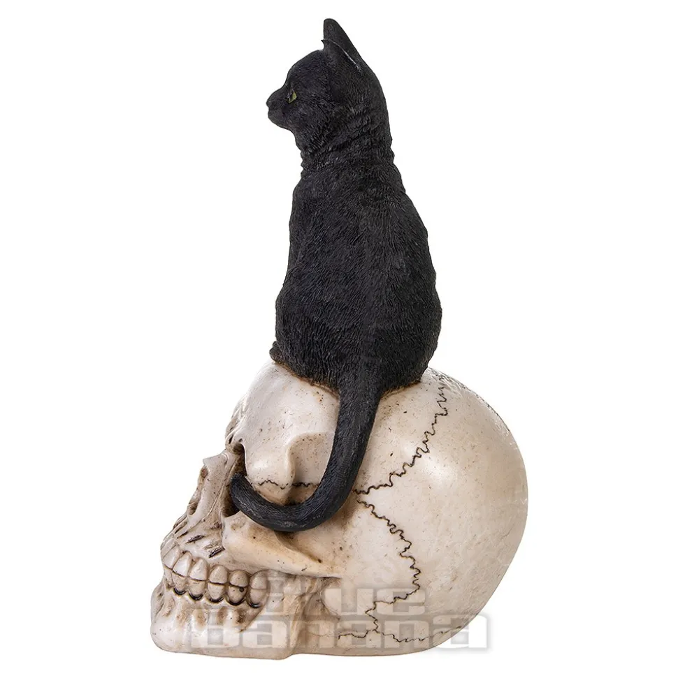 Nemesis Now Familiar Fate Cat & Skull Figurine (24.3CM)