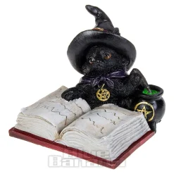 Nemesis Now Familiar's Brew Ornament (8.5 CM)