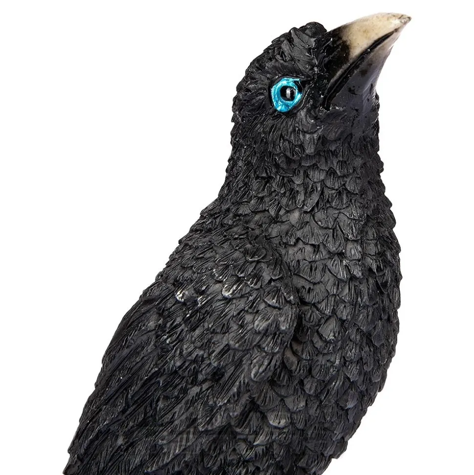 Nemesis Now Perched Prophecy Raven (Black)