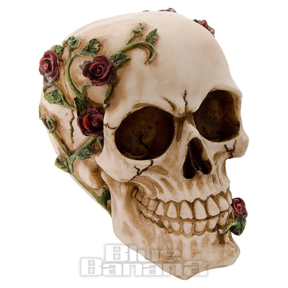 Nemesis Now Rose Beyond Skull Figurine (15cm)