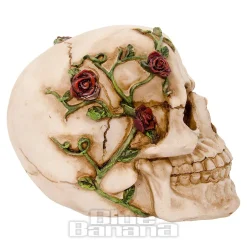 Nemesis Now Rose Beyond Skull Figurine (15cm)