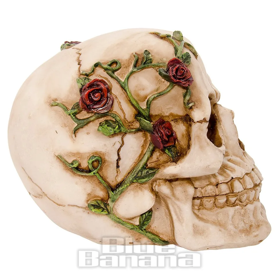 Nemesis Now Rose Beyond Skull Figurine (15cm)